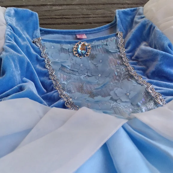 Blue Cinderella Princess Gown - Picture 3 of 3